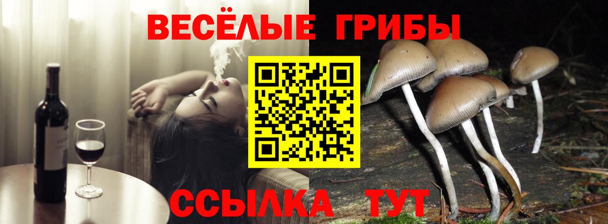 Псилоцибиновые грибы Psilocybe  Вход с VPN  Щёкино 