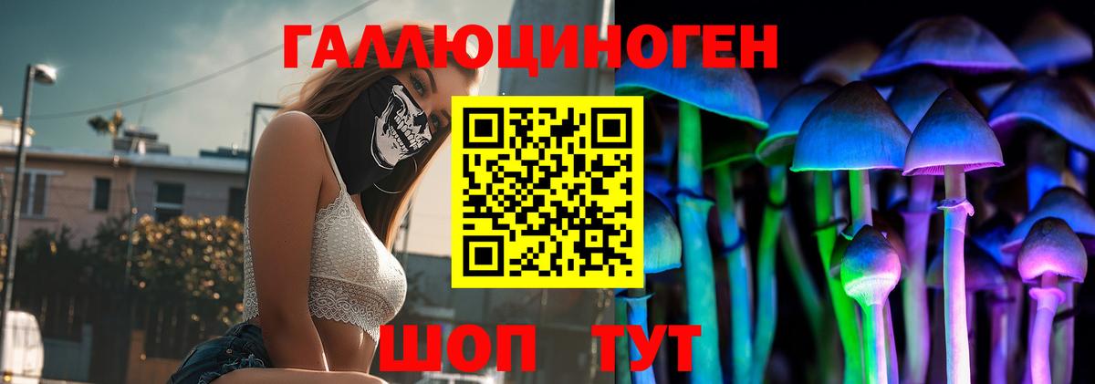 Псилоцибиновые грибы прущие грибы Щёкино