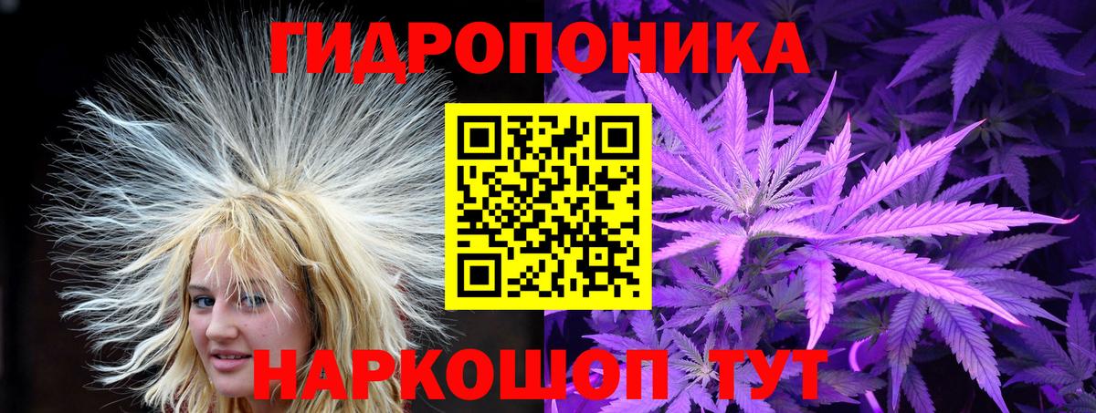 Конопля Ganja  Вход с VPN  МАРИХУАНА семена  Марихуана THC 21%  Щёкино 